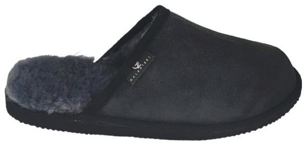 PhotoRoom-20231106_231919_1 PAPUČE MUŠKE 363